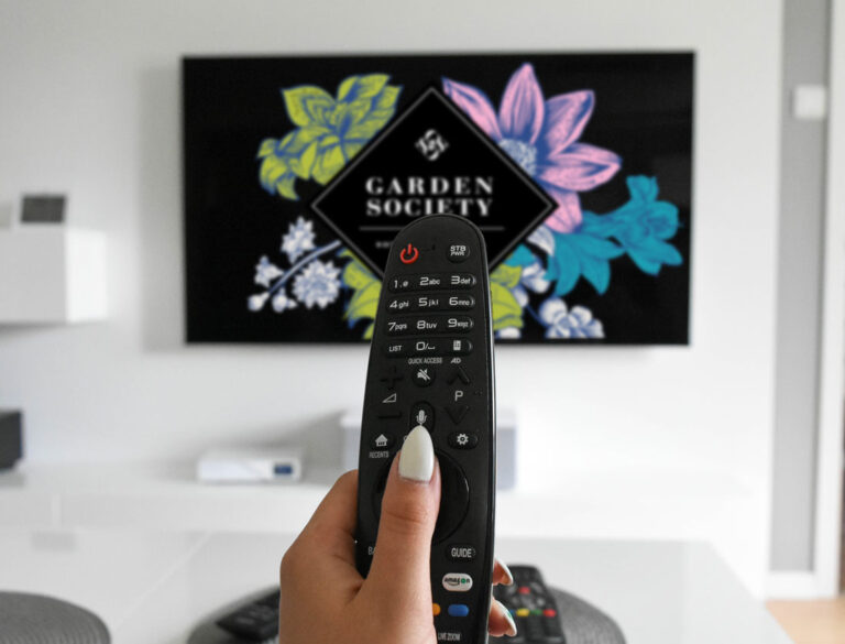 LG TV remote control functions (Magic remote) 2016-2023