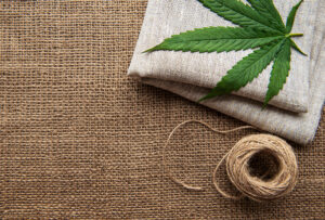 Fast renewable hemp fibers can be used in fabric and paper 